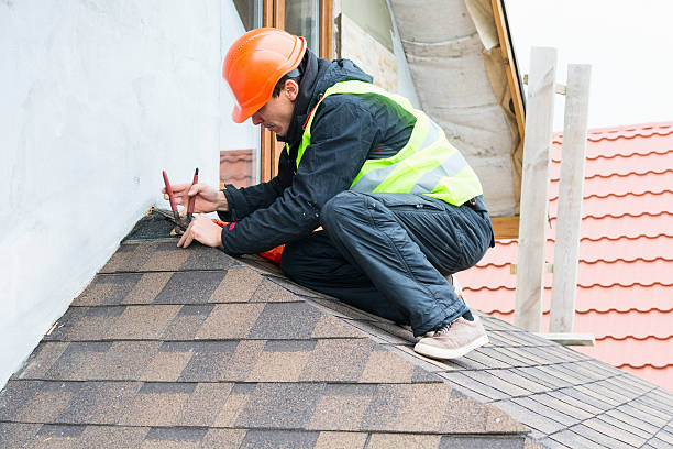 Best Metal Roofing Contractor  in Agua Fria, NM